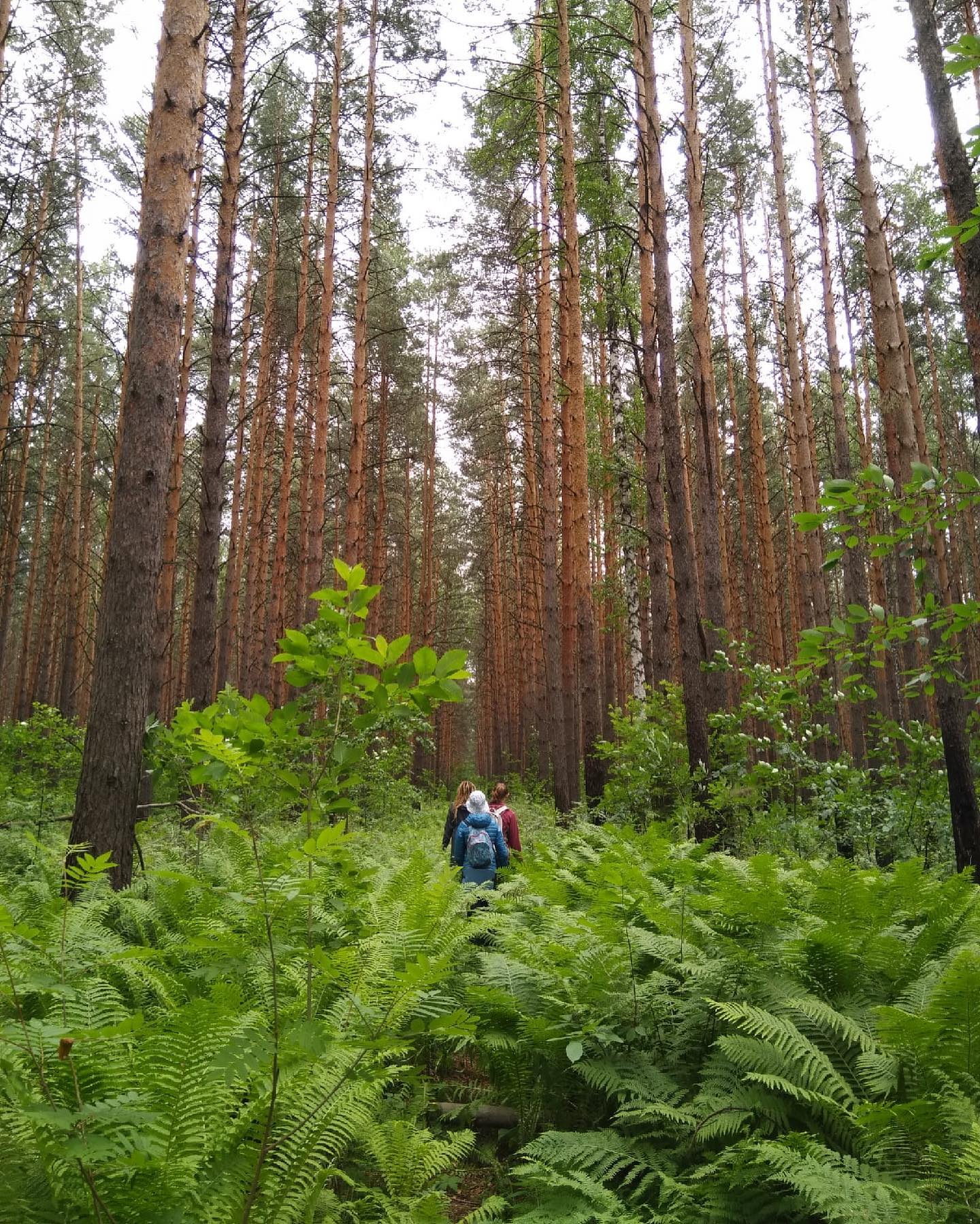 пронзительны контактные встречи этого месяца. праздную! ~ выезды, что мы сделали