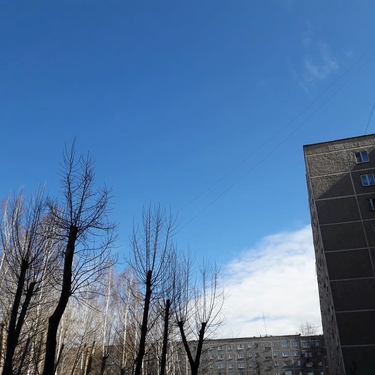 Один и два. Дни честной домашней. Дни, когда меньше - действительно больше. Дни