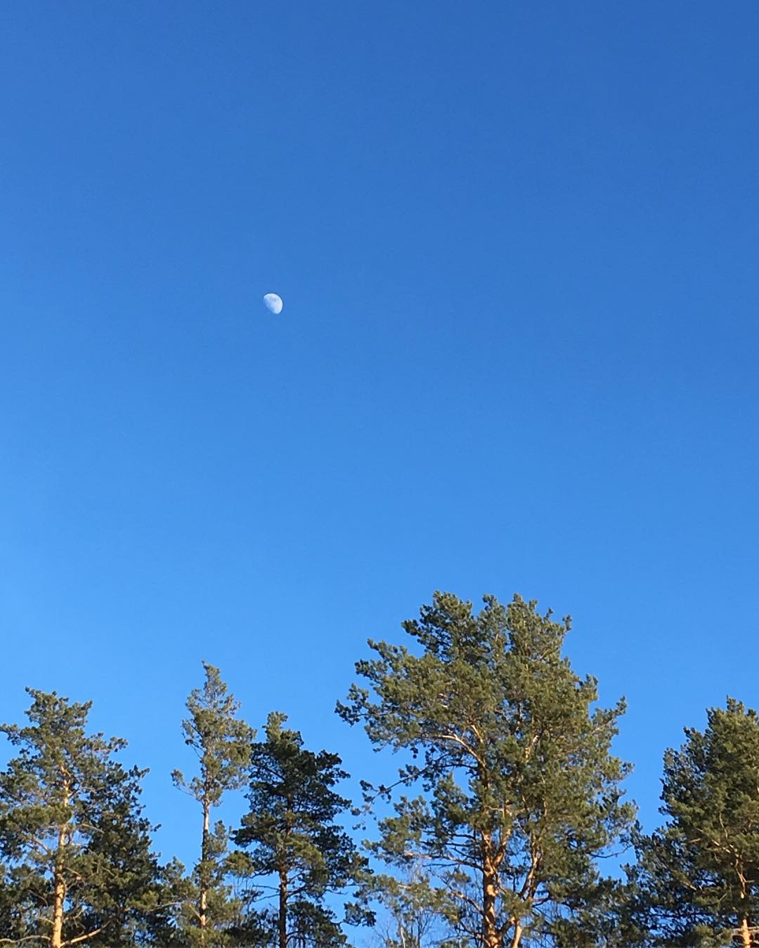 â¤ï¸
