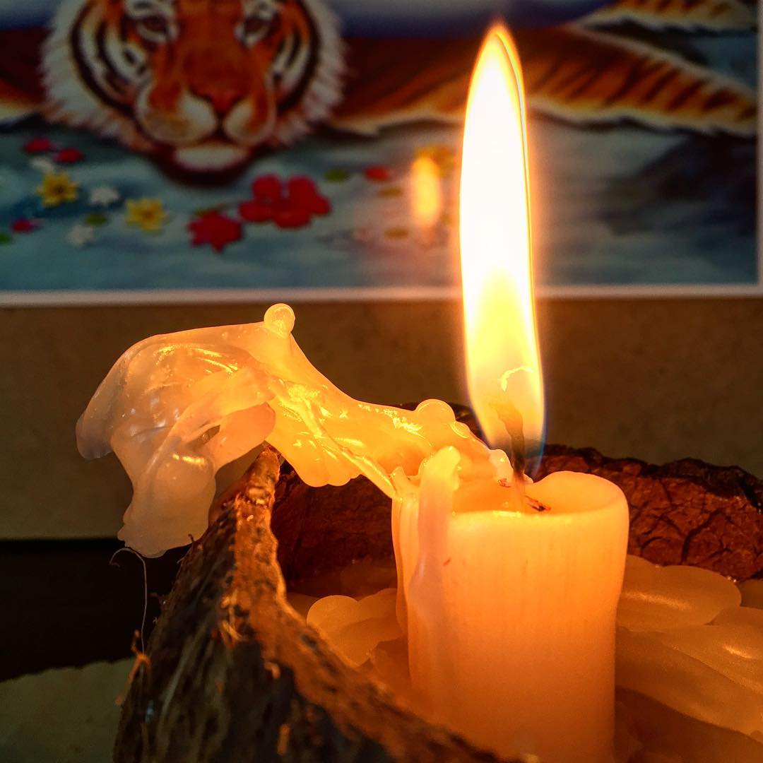 {this.state.dayEnd && this.takeRest()} React week, Mysore style и