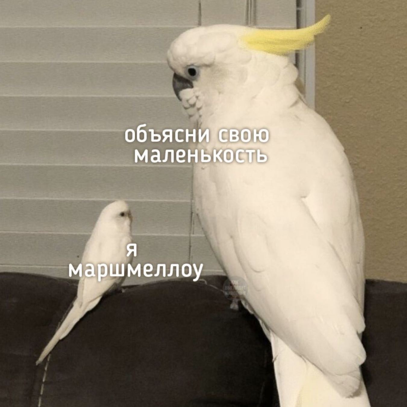 Лежать лицом в пол, источать сиреневый