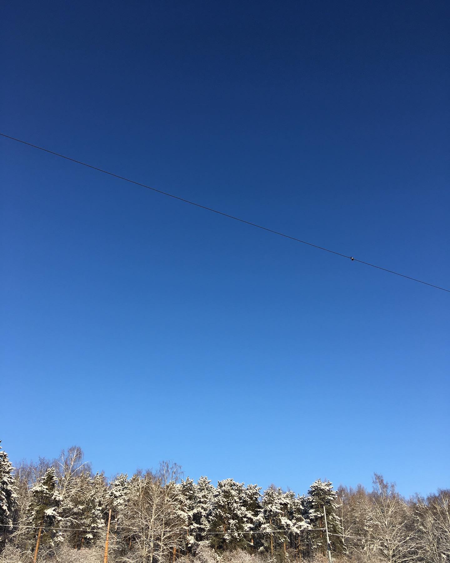 Ноябрь бездны. Праздновать ещё полдекабря