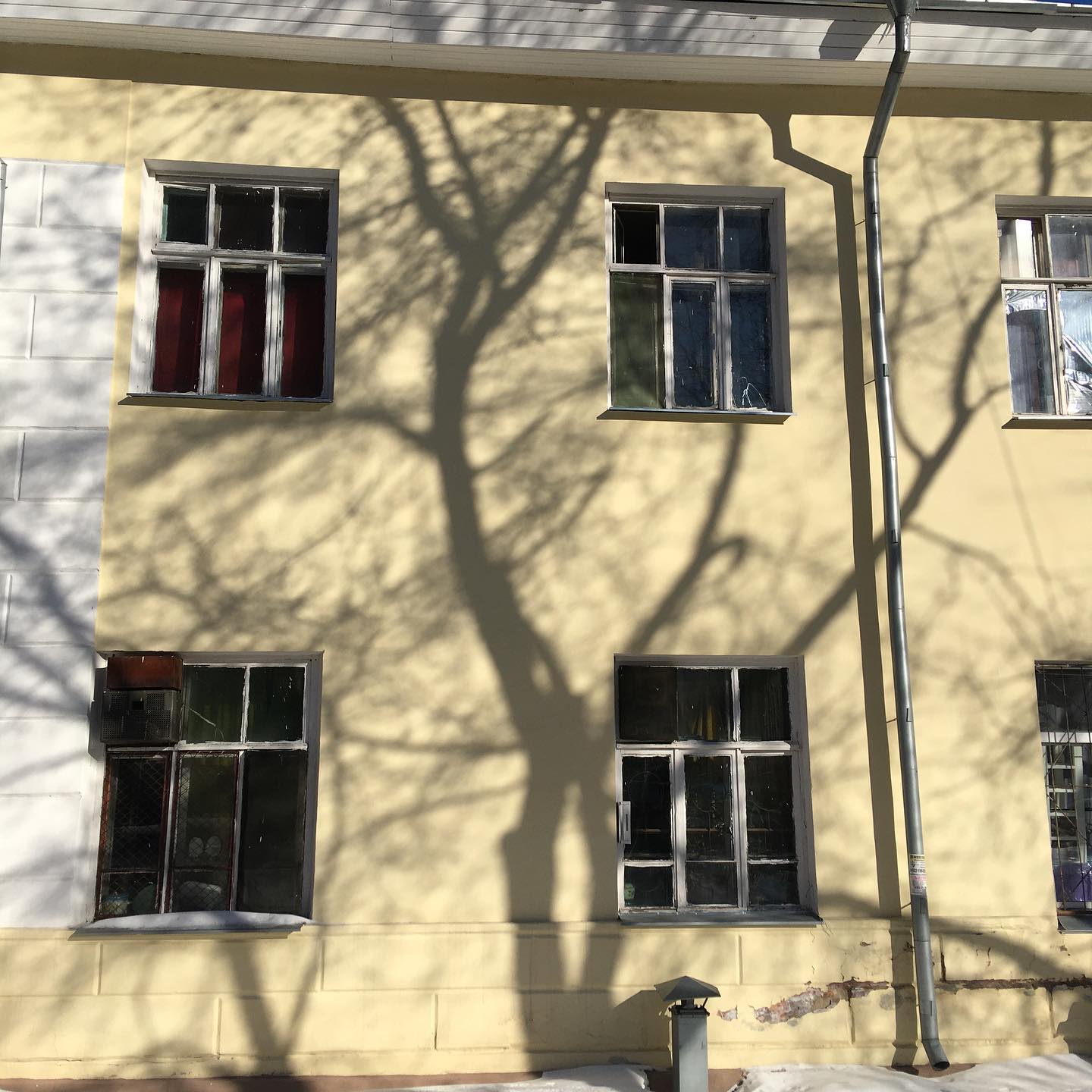 зимнее солнце жмурюсь и провожаю  леб и мёд