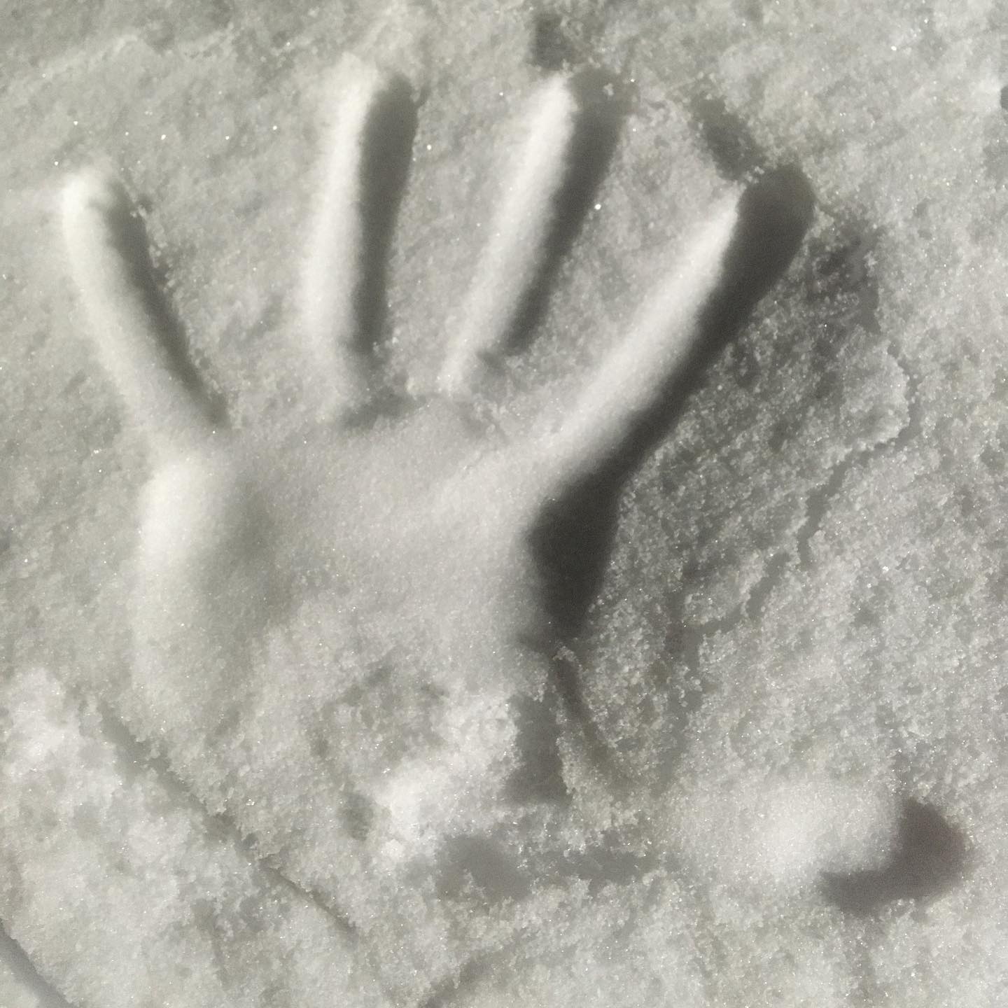 _ ж и з н и щ е