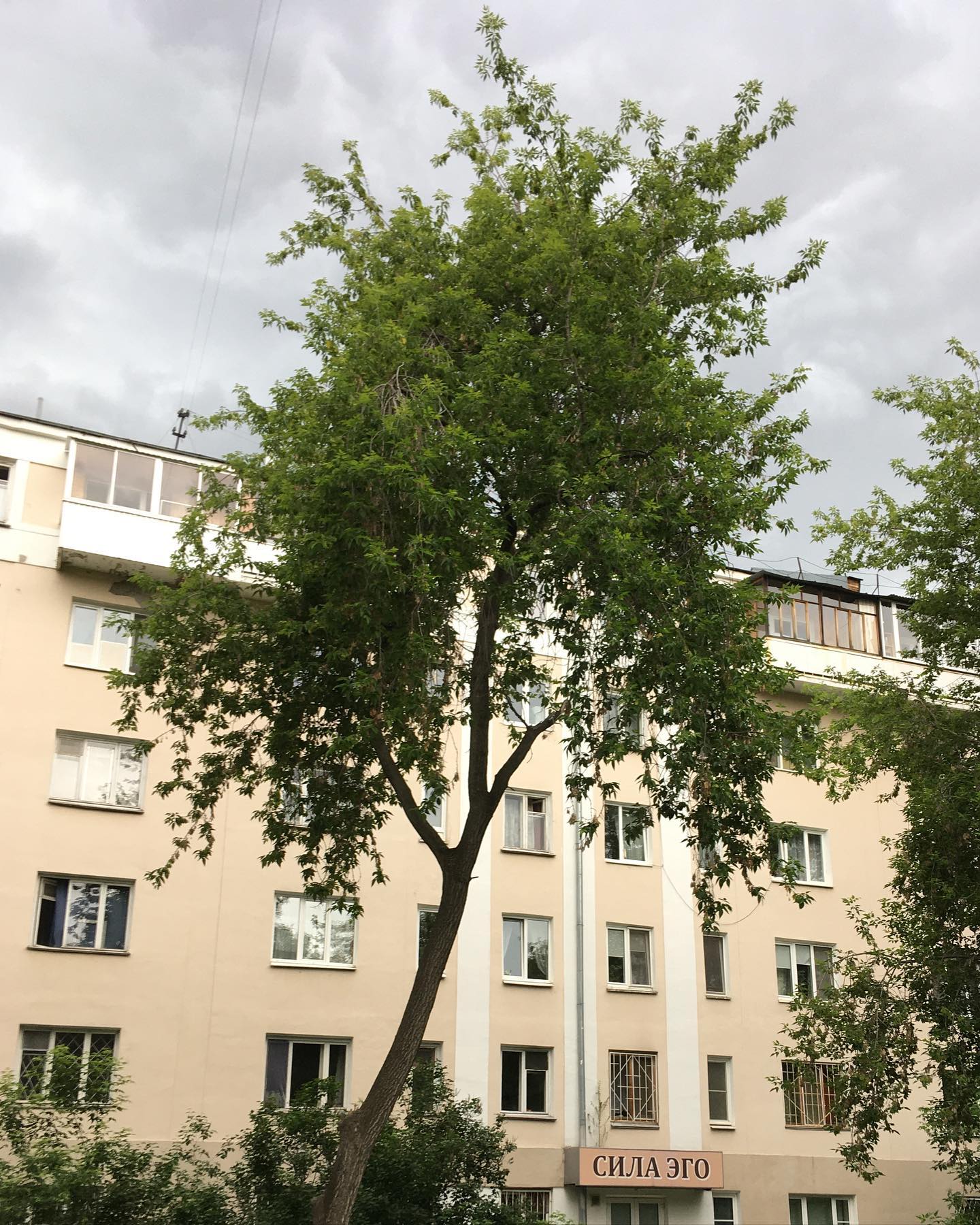 небо есть в каждой луже а под полотком