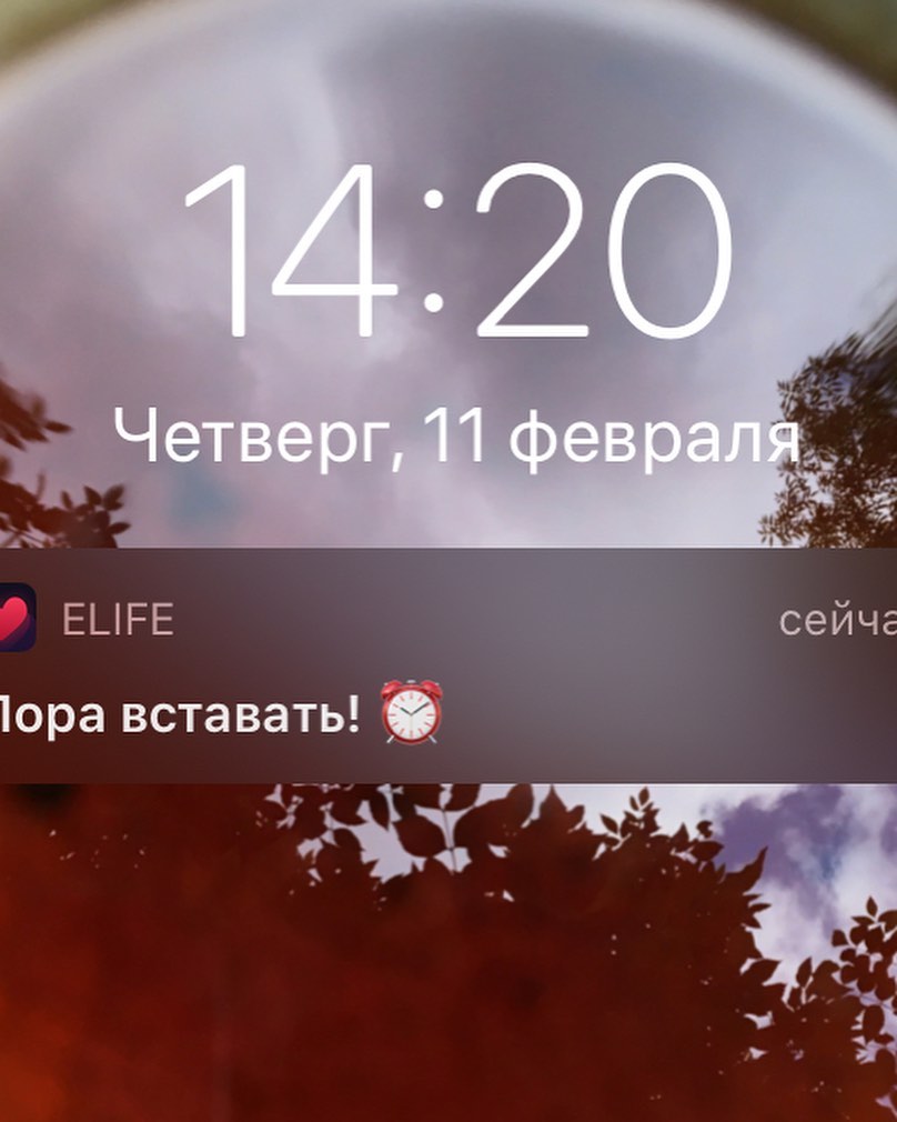 ‘ неизданное