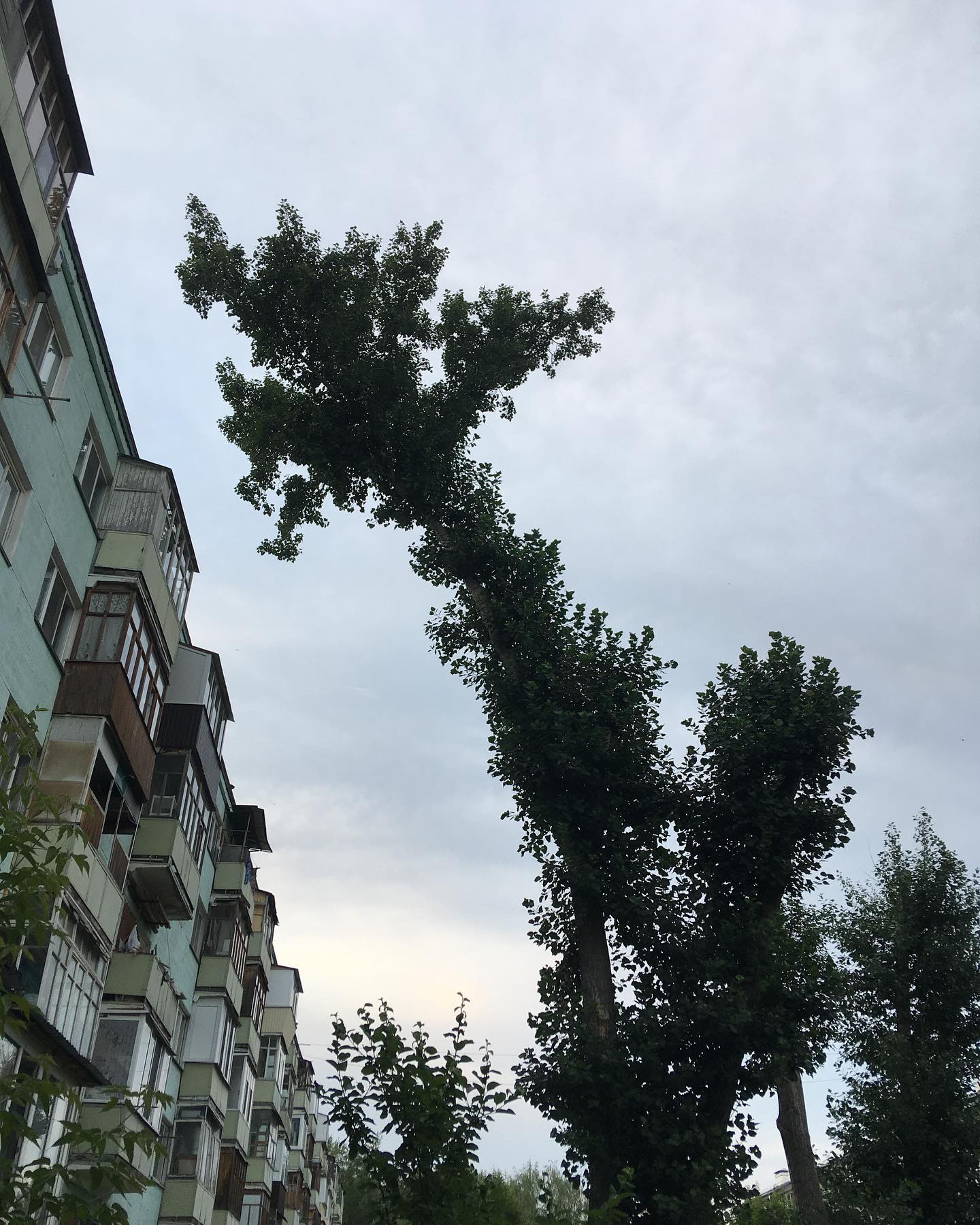 [:29] просились слова, да не складывались