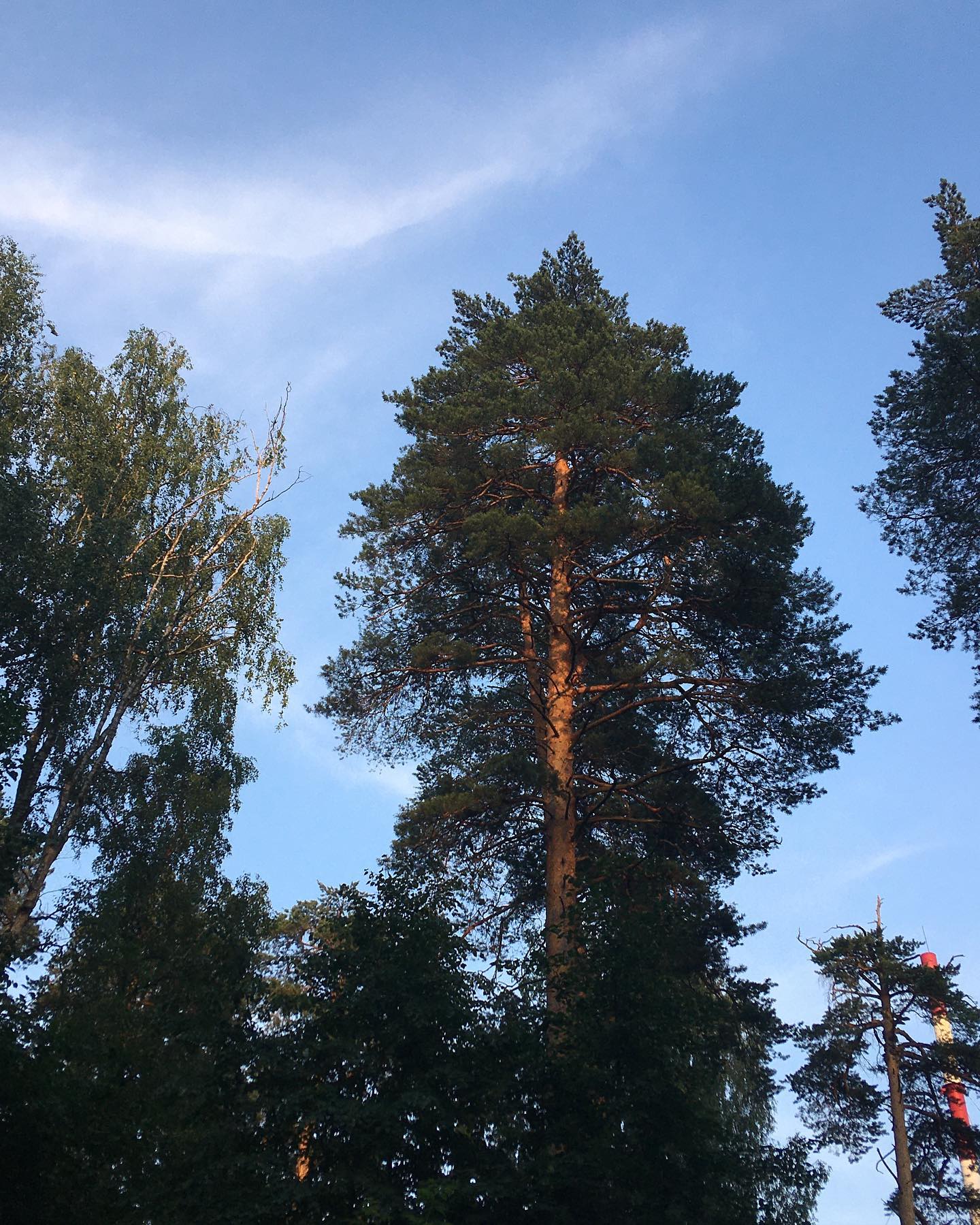 [:29] просились слова, да не складывались