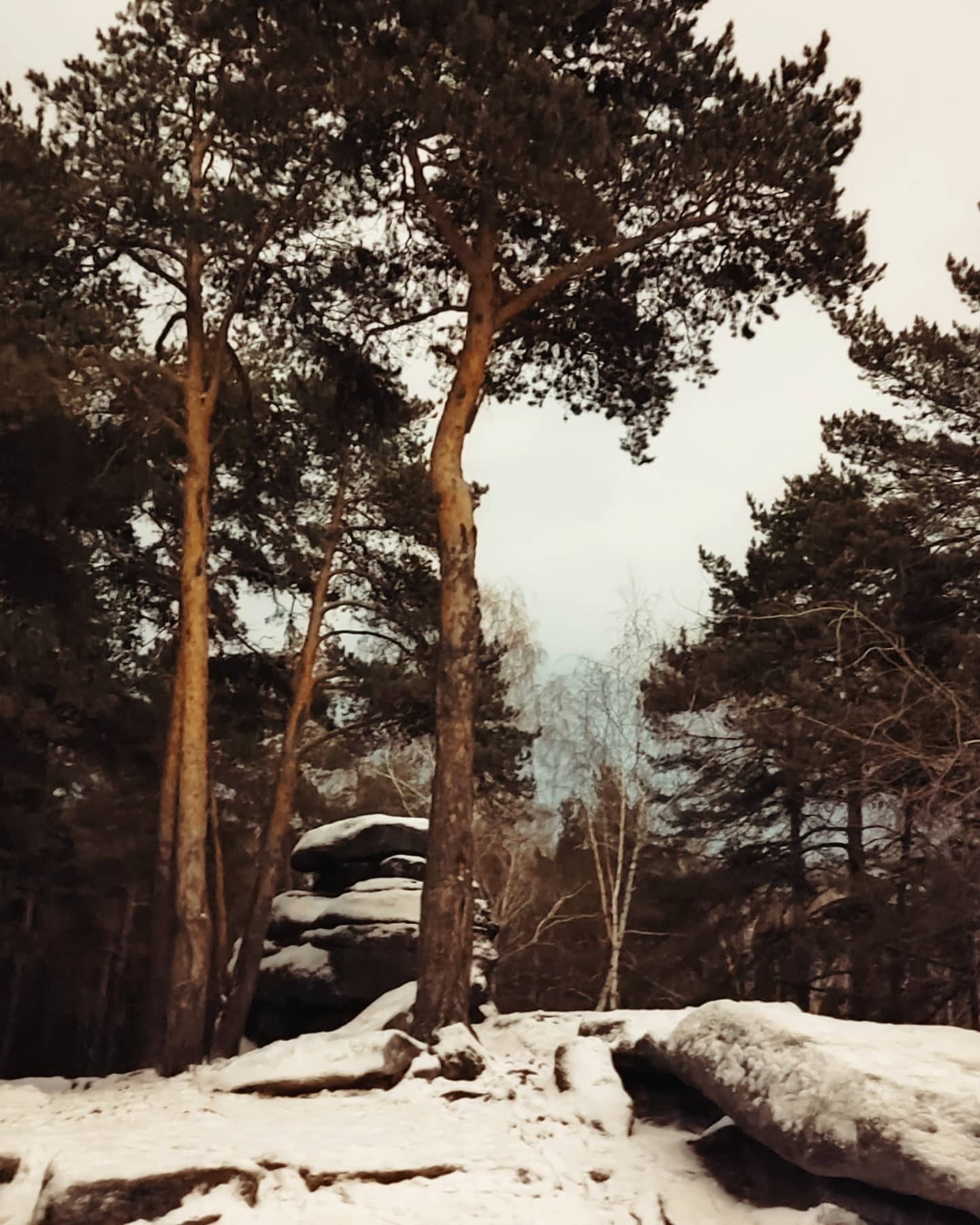 каменным палаткам и его шарташу. лёд уже