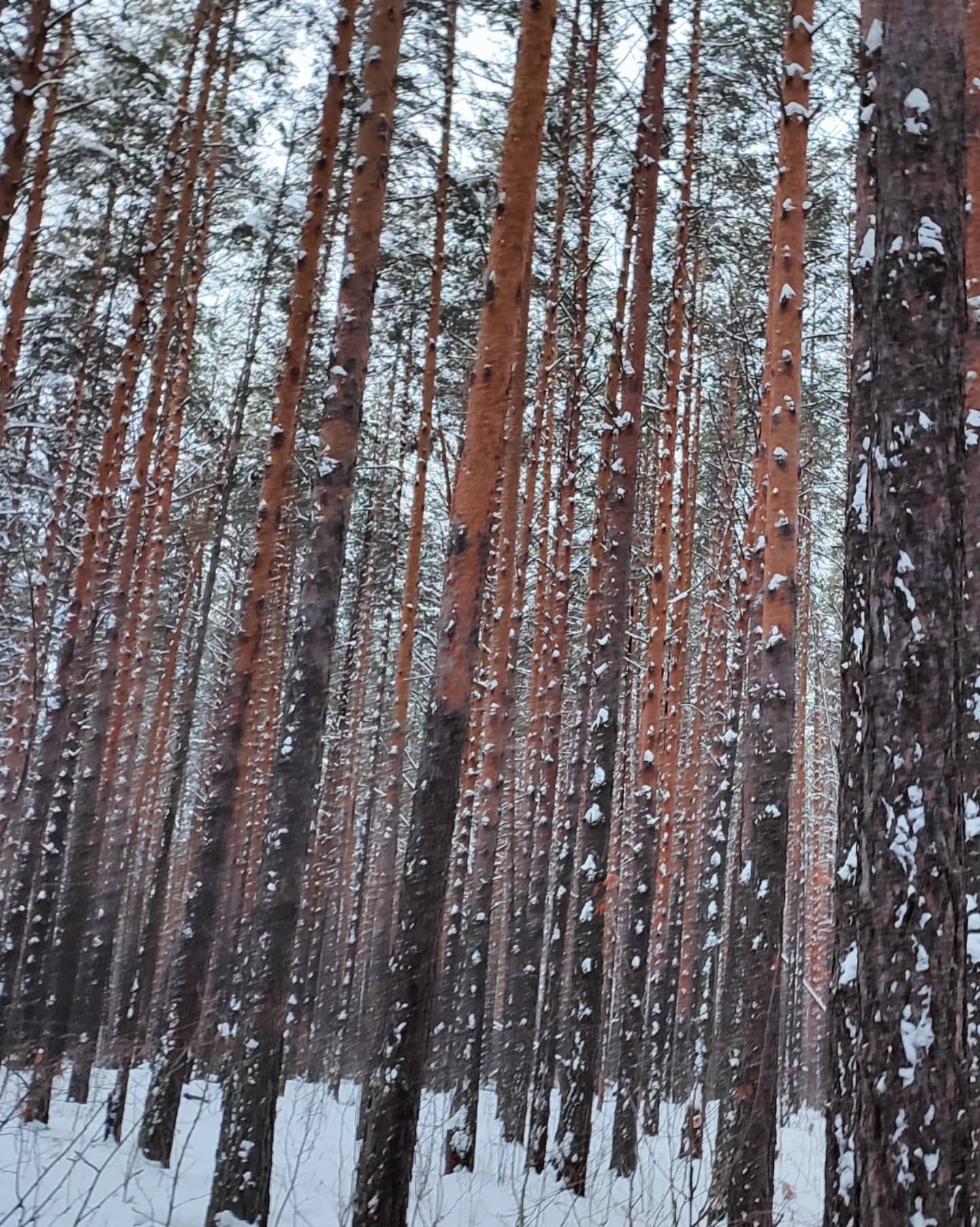 день последний и день первый, и я ничего не