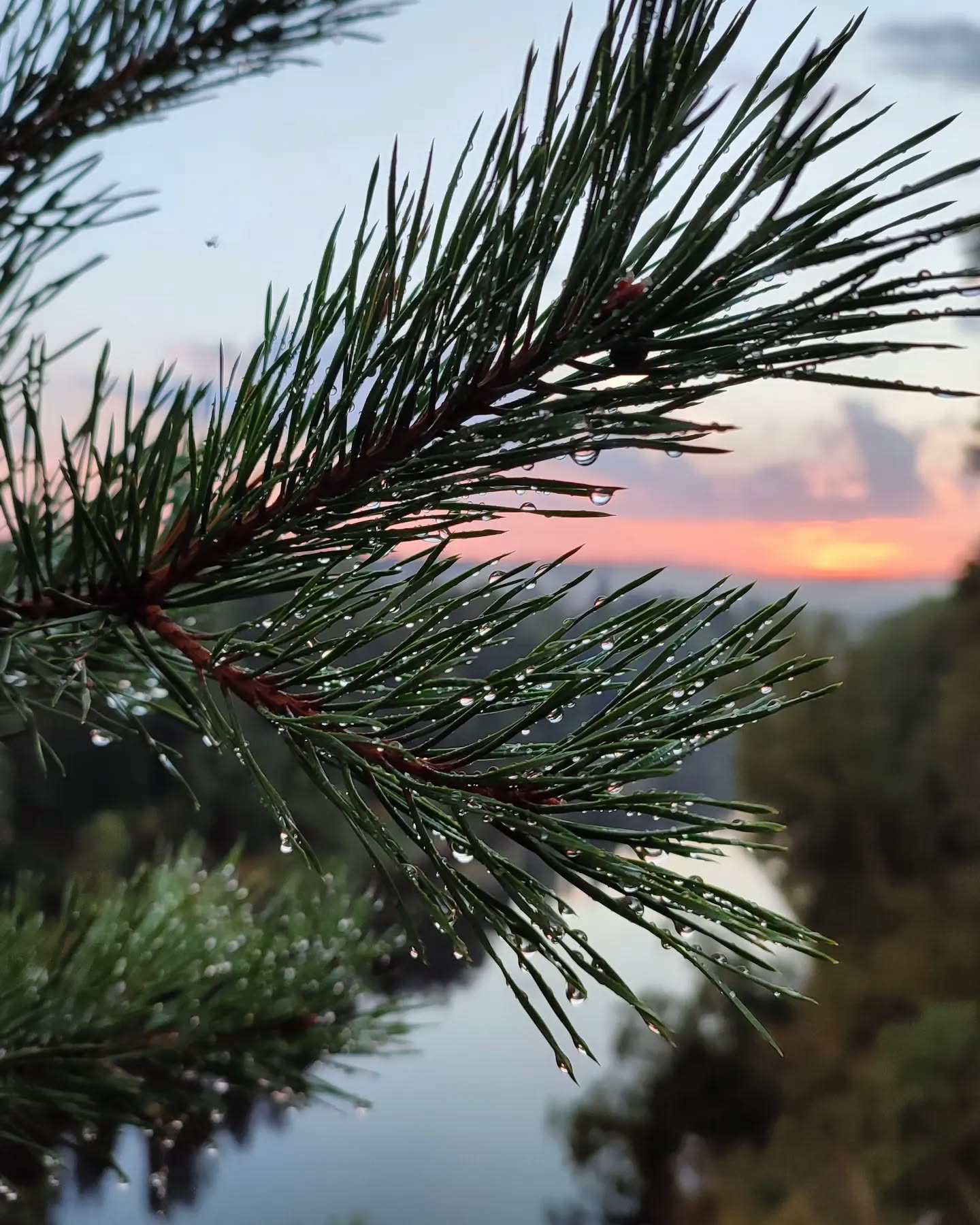 после грозы нам ещё воды, и тогда льются