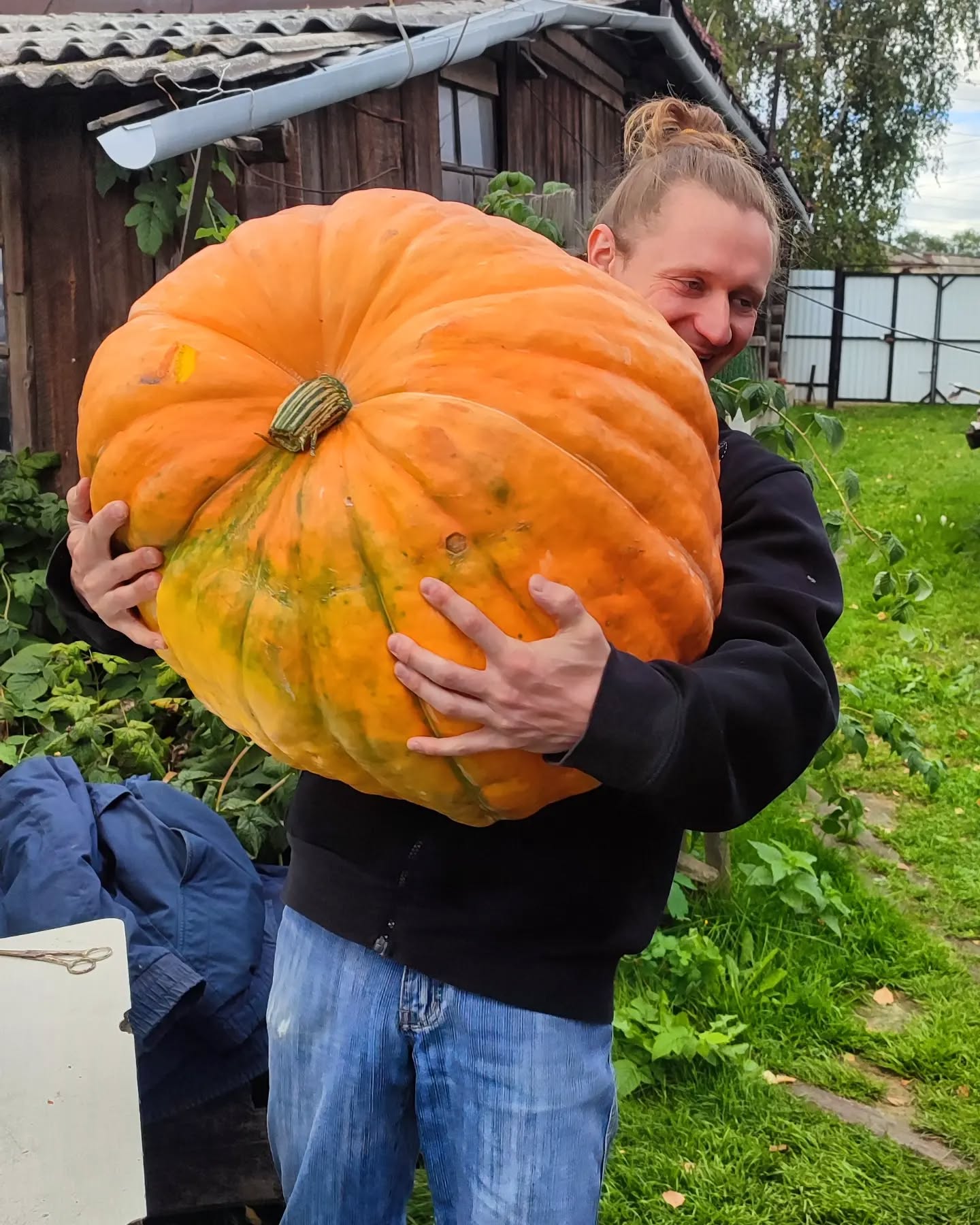 дорогая, у нас будет хэллоуин!