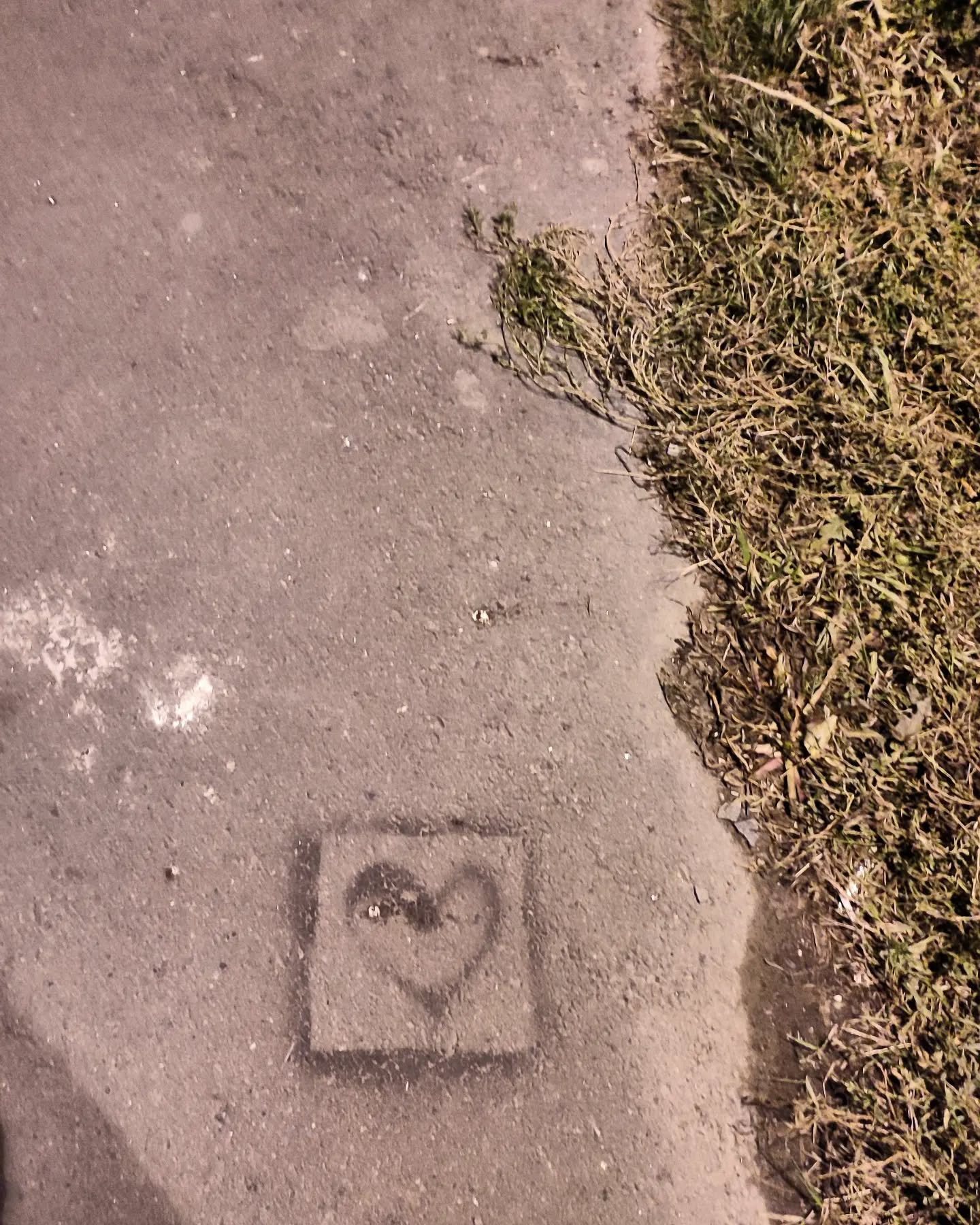 full heartedness