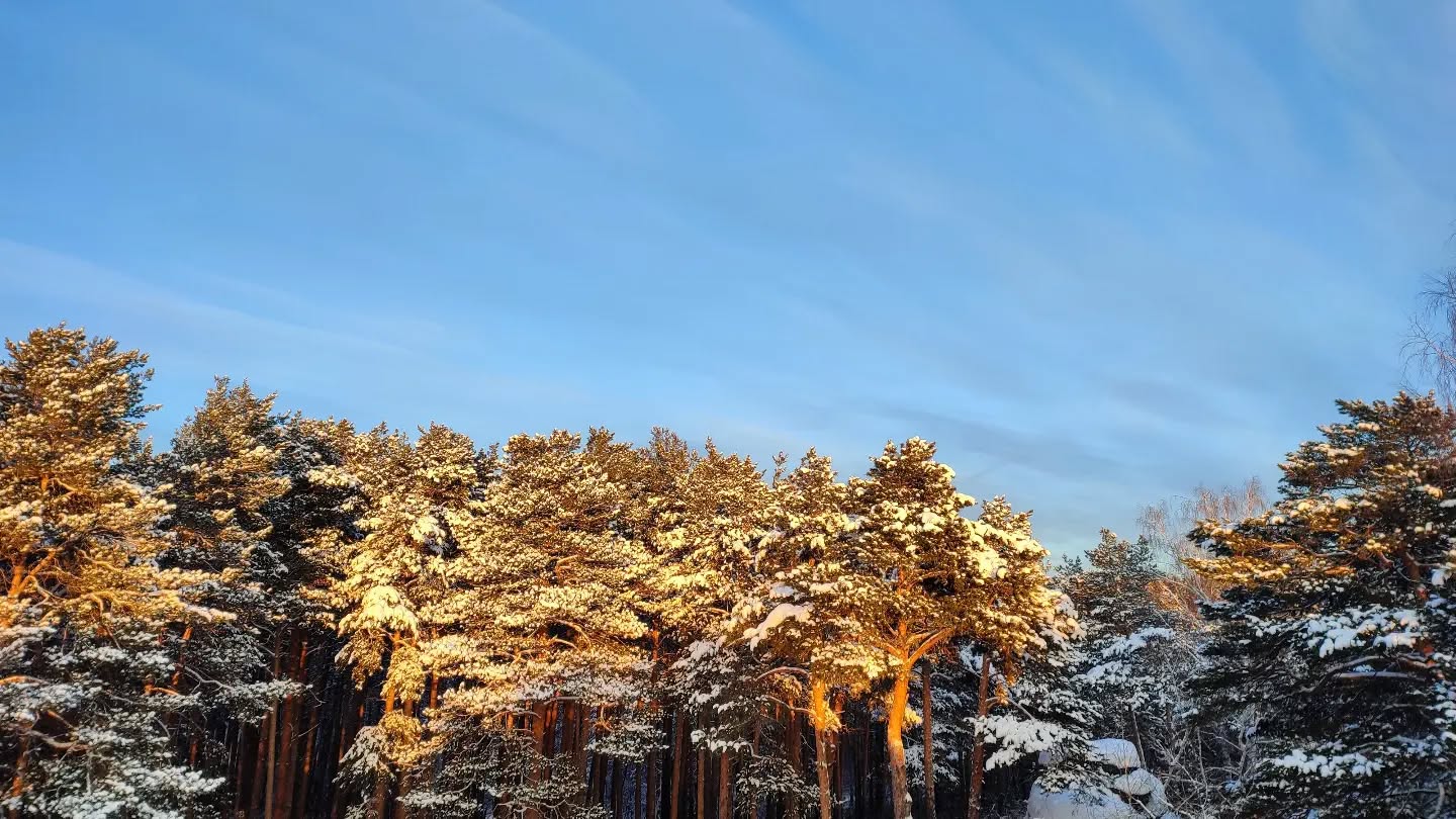 первый рабочий день 36.1