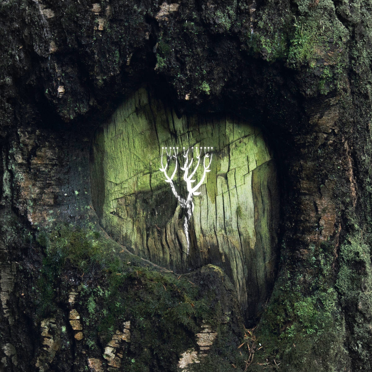 Med Gen — Terrapy (ΠΑΝΘΕΟΝ, 2019)