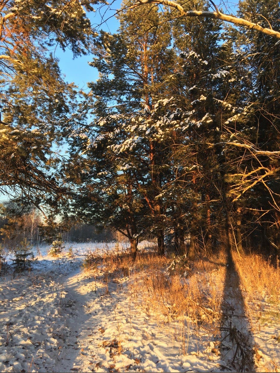 пара слов о том, что сейчас