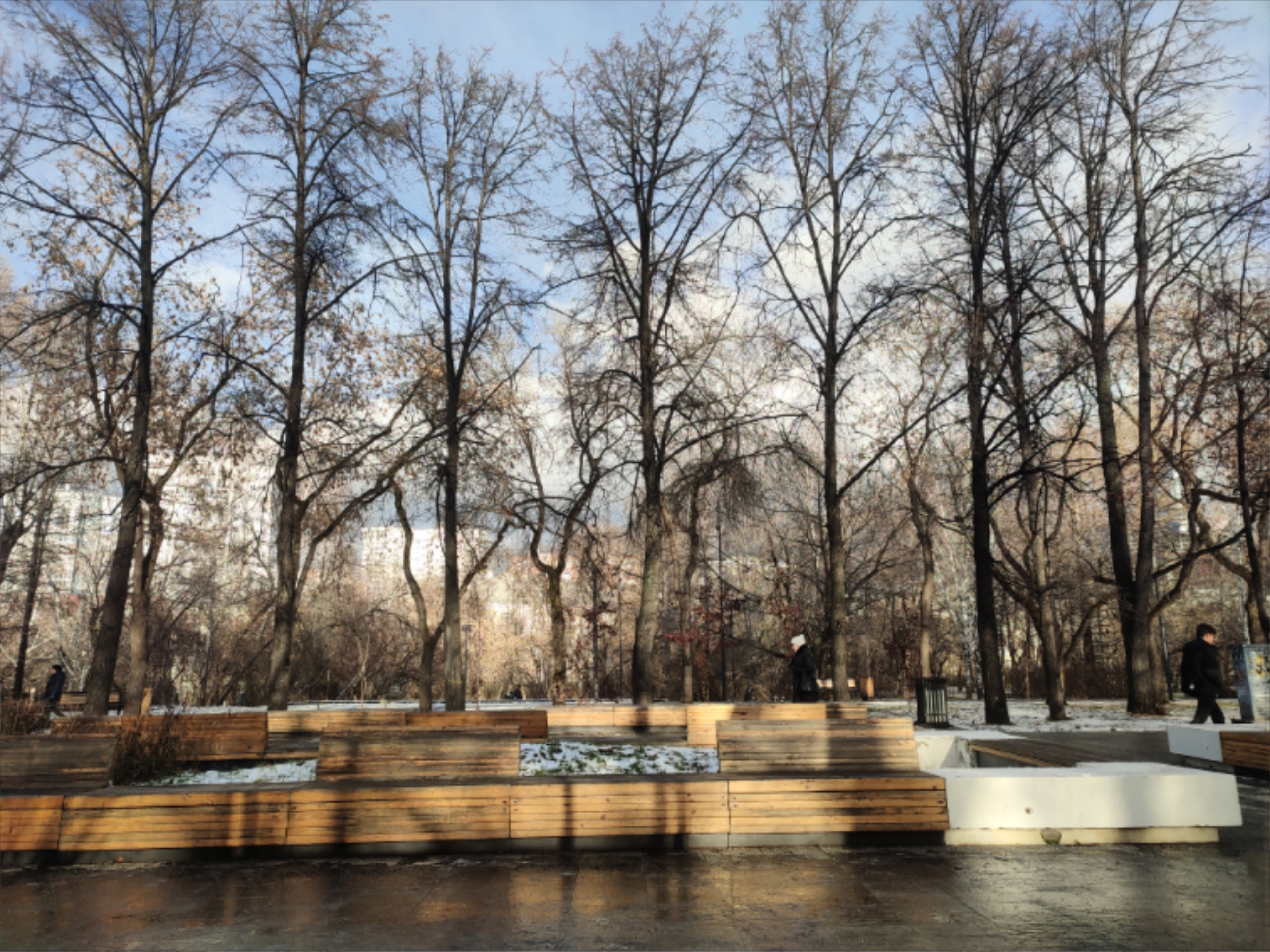 Екатеринбург, 24 декабря.