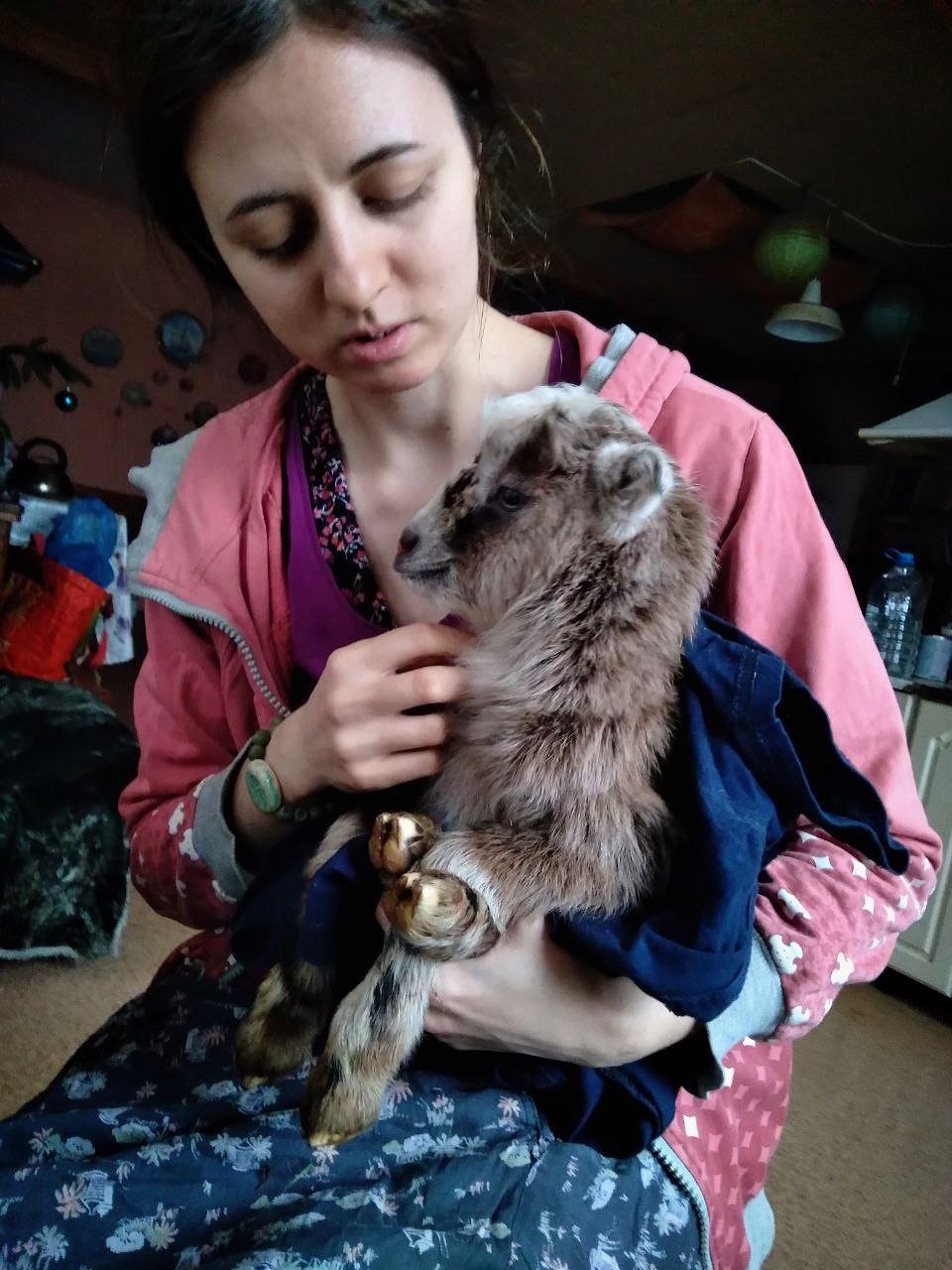 Тверь, 26 декабря.