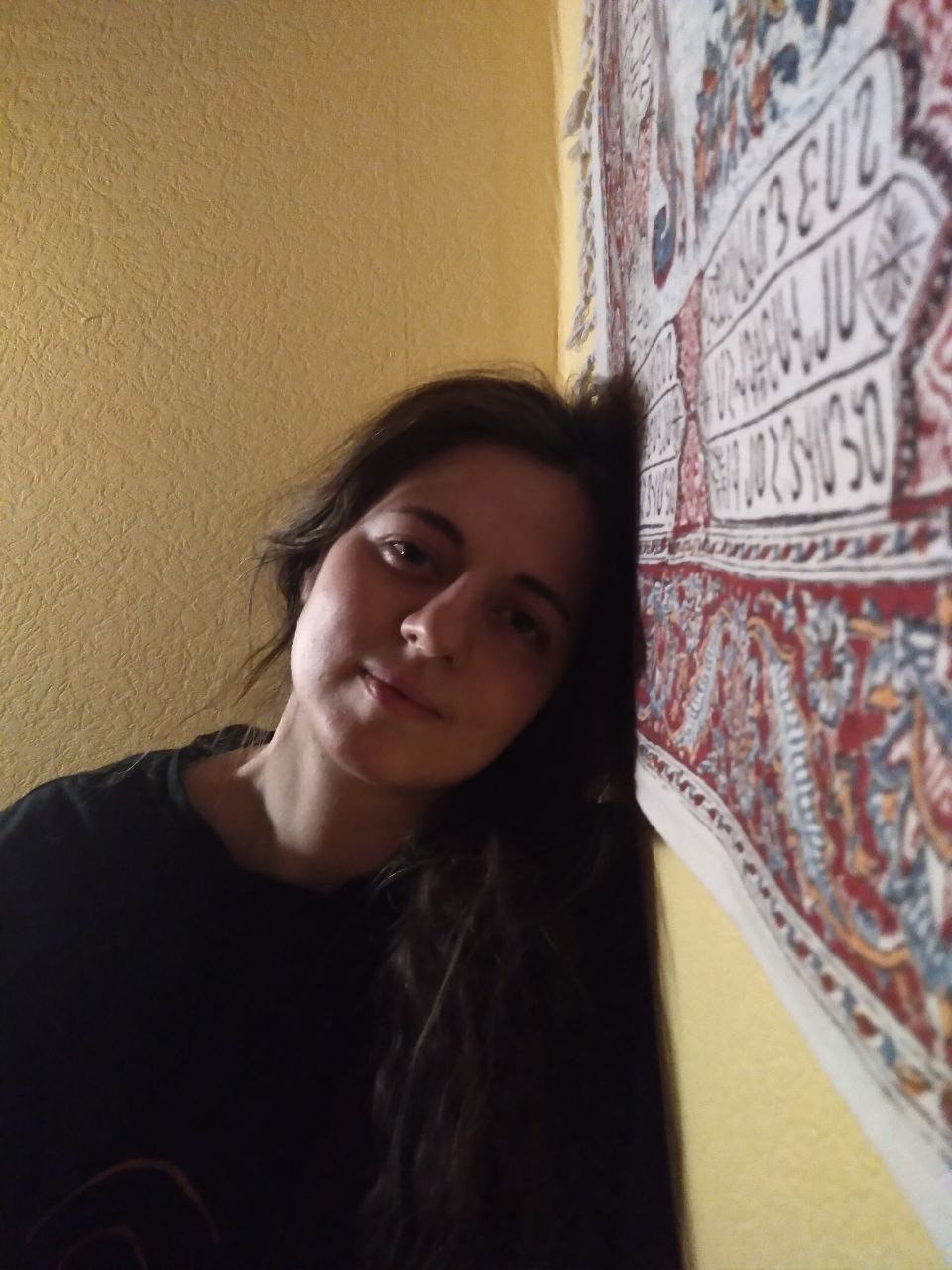 Дом между деревнями Полово и Бервенец, январь