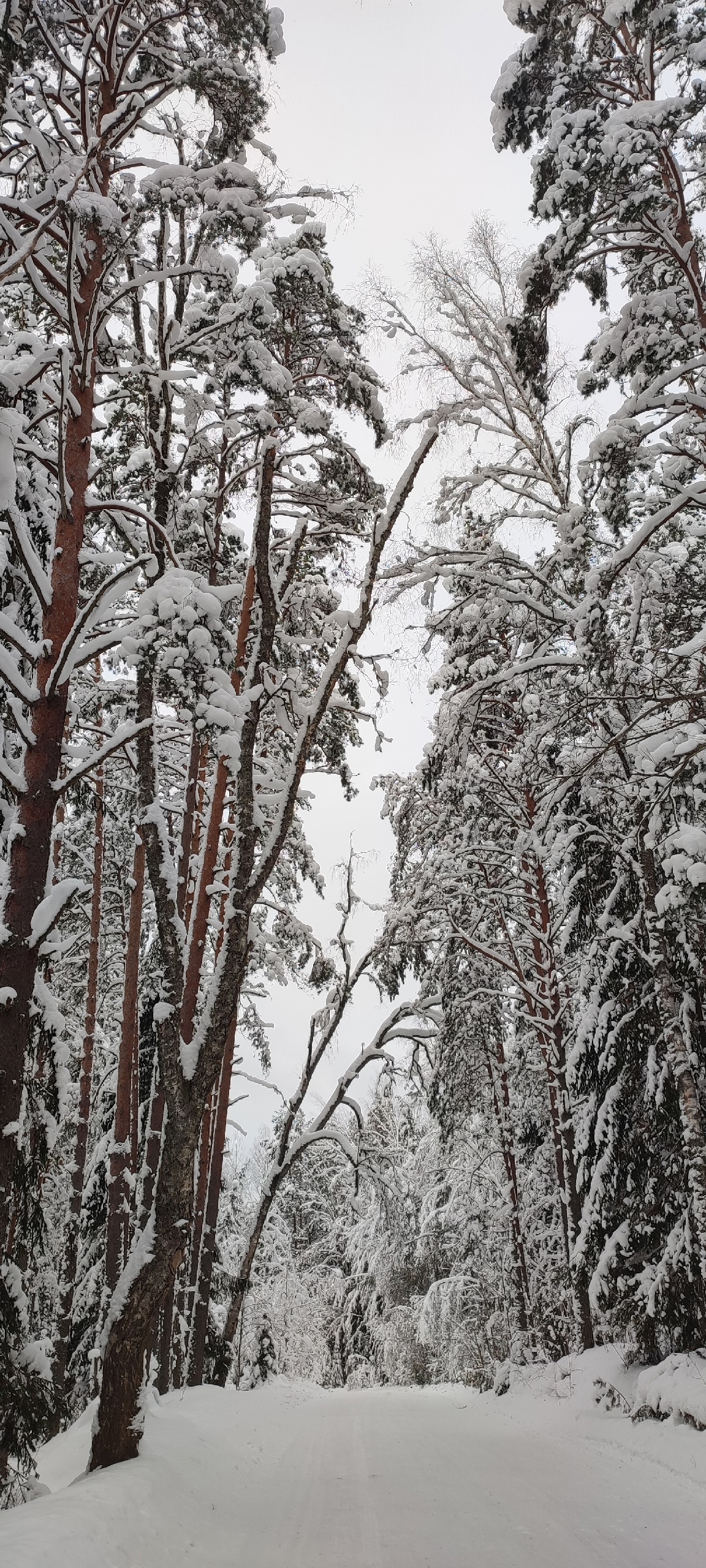 Дом между деревнями Полово и Бервенец, январь