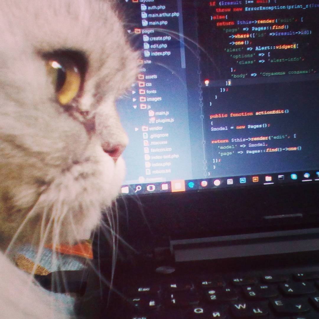 actionMrr()