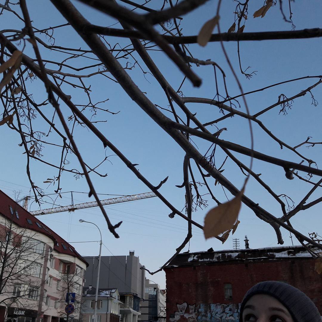 Пост-тишина. Чайные люди. #chestnutime