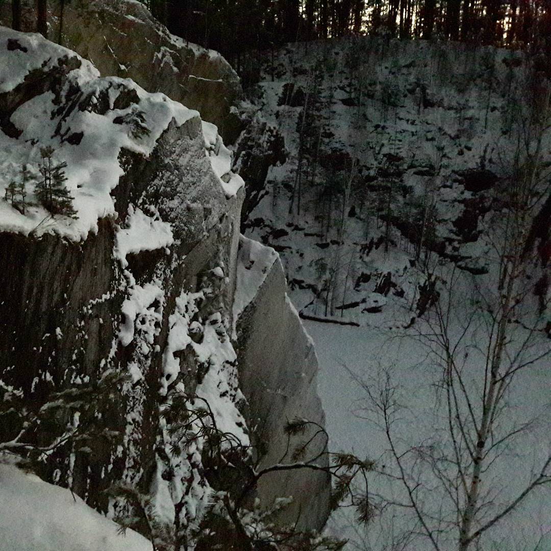 И вновь ты очнешься в лесу.