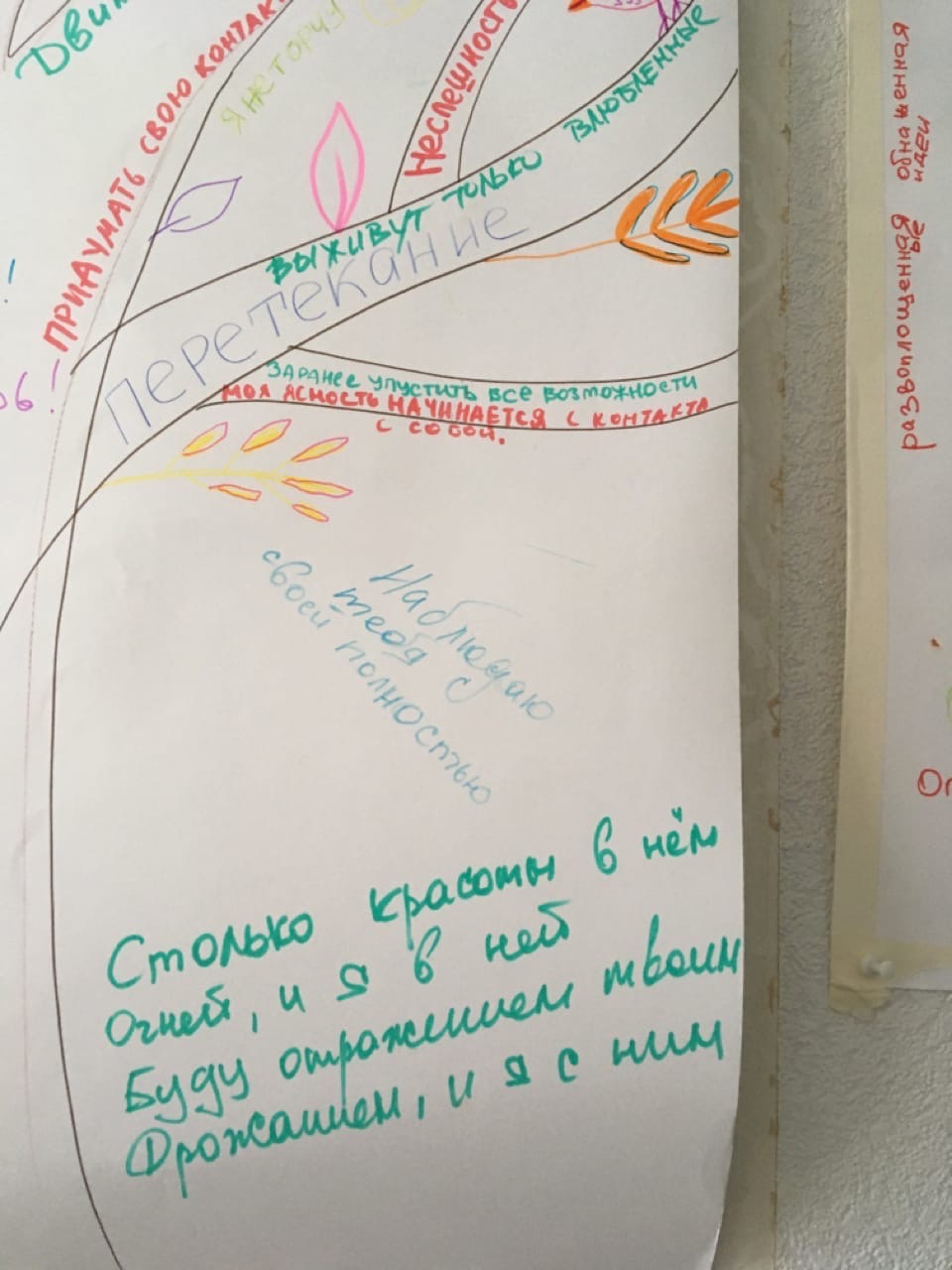 Центр тела